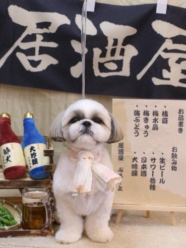 20240609みたらしちゃん